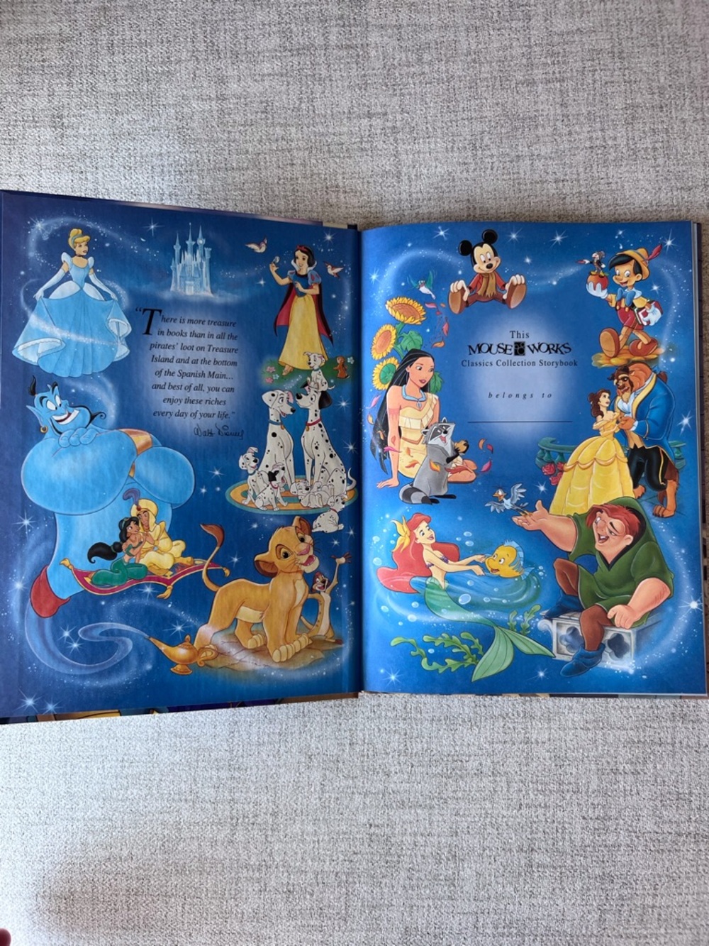 Disney The Hunchback of Notre Dame Illustrated Hardcover - Picture 2 of 5